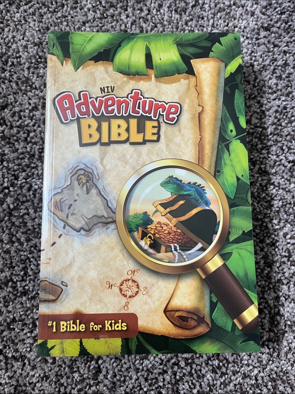 NWT NIV Adventure Kids Bible